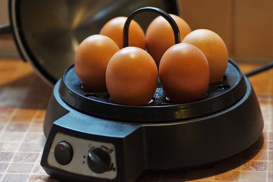Elite Gourmet Egg Cooker Your Gateway to a Healthier Breakfast Routine